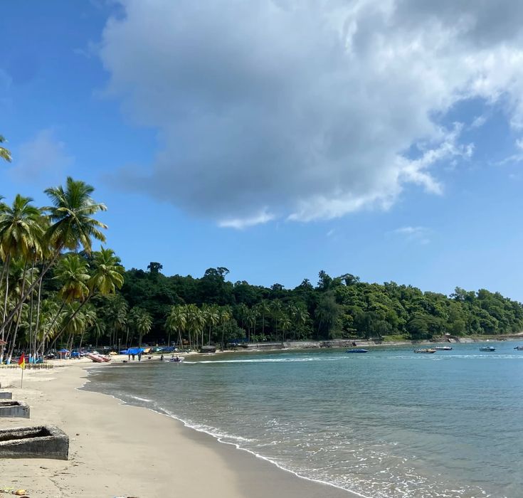 Andaman Family Tour Special 4 NIGHTS 5 DAYS (Standard)